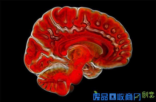 摄影师拍大自然迷人景色 美得窒息(组图)