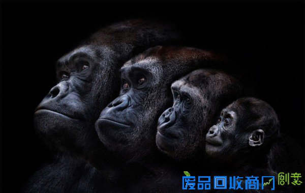 摄影师拍大自然迷人景色 美得窒息(组图)