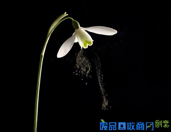 摄影师拍大自然迷人景色 美得窒息(组图)