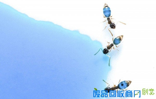 摄影师拍大自然迷人景色 美得窒息(组图)