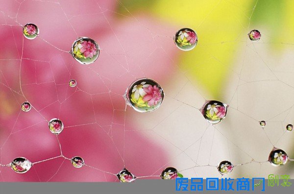 摄影师拍大自然迷人景色 美得窒息(组图)