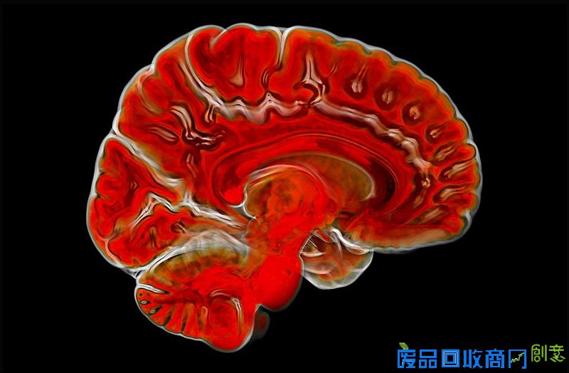 摄影师拍大自然迷人景色 美得窒息(组图)（9）