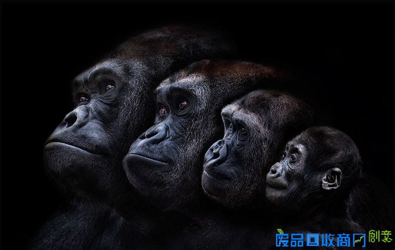 摄影师拍大自然迷人景色 美得窒息(组图)（9）