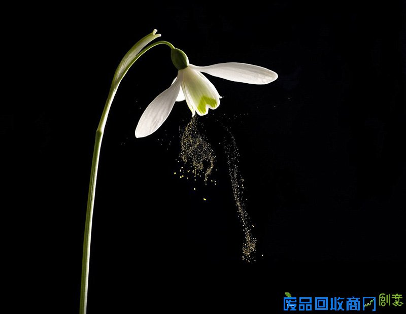 摄影师拍大自然迷人景色 美得窒息(组图)（9）