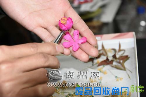 组花朵 这一环节同样复杂而精细,不仅要考虑花的特点、生长规律,还要考虑花形的美观。每一片花瓣都必须使用弯头镊子,否则花瓣变样则前功尽弃。