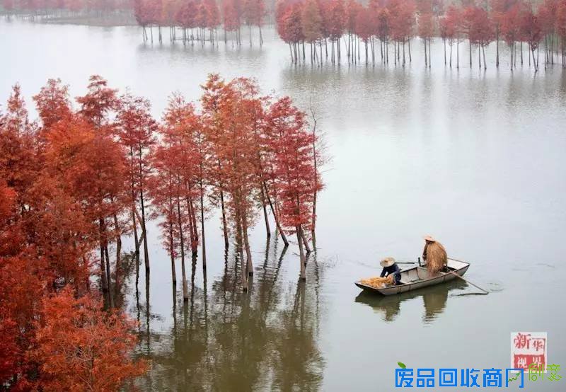 别去看人从众啦，视界给你推荐景好人少的远方！