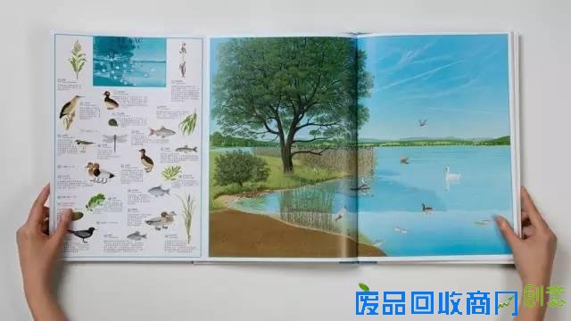 这么美的绘本，如果我不出它，我就要出人命