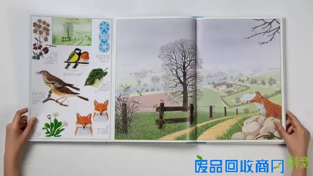 这么美的绘本，如果我不出它，我就要出人命