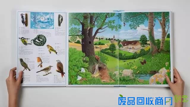 这么美的绘本，如果我不出它，我就要出人命