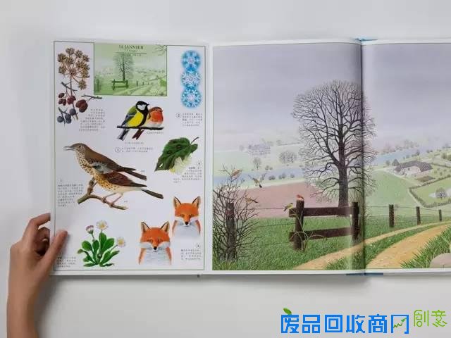 这么美的绘本，如果我不出它，我就要出人命