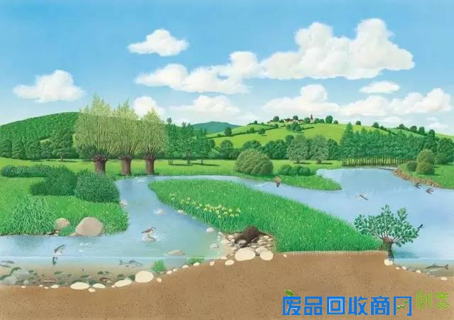 这么美的绘本，如果我不出它，我就要出人命