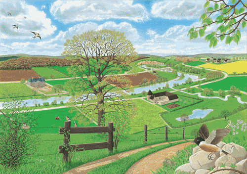 这么美的绘本，如果我不出它，我就要出人命