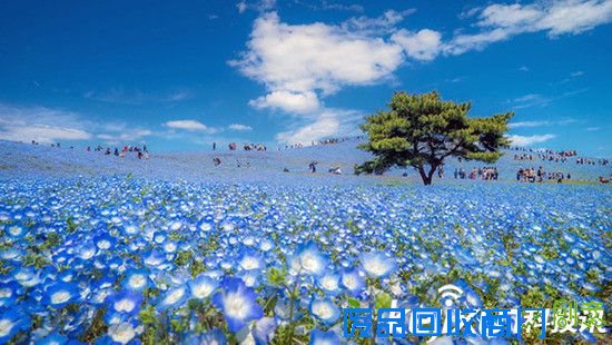 2016年国家地理摄影美图 美的不像人间