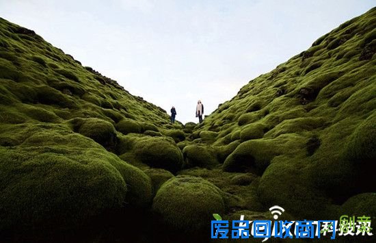 2016年国家地理摄影美图 美的不像人间