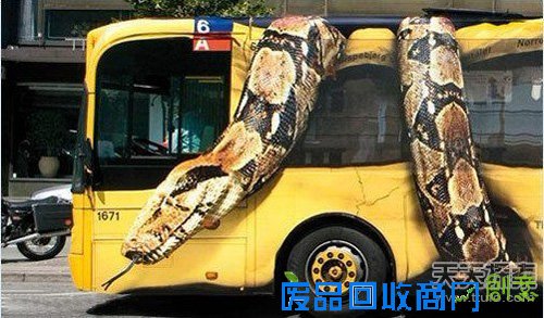 市区惊现巨蟒袭击公车 动物园巴士广告视觉太震撼