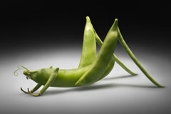 你知道你在吃什么吗？