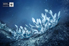 70%的塑料无法在海底分解