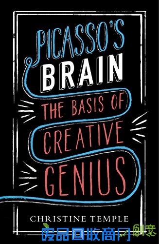 《毕加索的脑袋：创造性天才的基础》