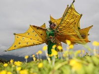 德宏州 傣族孔雀舞