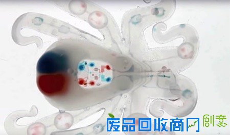  哈佛研发全球首个全软体章鱼机器人Octobot