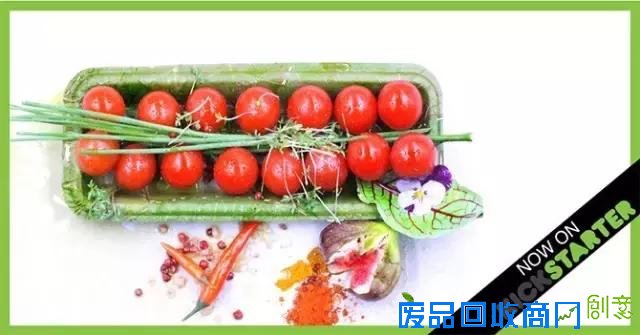  用树叶制作的一次性餐具