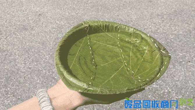  用树叶制作的一次性餐具