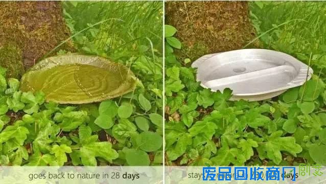  用树叶制作的一次性餐具