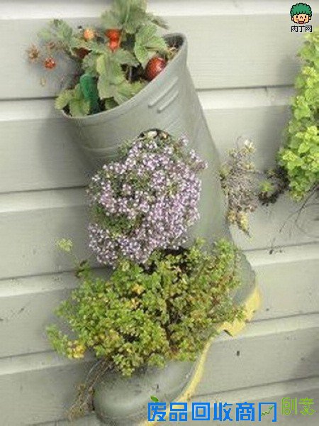 自制旧鞋怎么处理 旧鞋变花盆的35个DIY多姿多彩样例