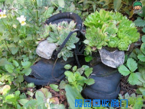 自制旧鞋怎么处理 旧鞋变花盆的35个DIY多姿多彩样例
