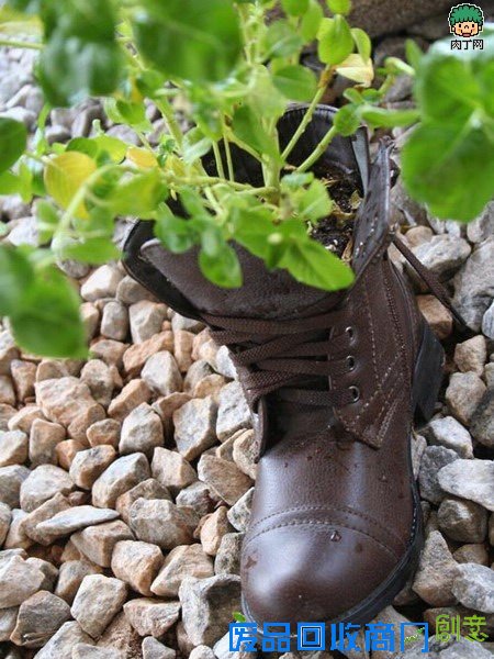 自制旧鞋怎么处理 旧鞋变花盆的35个DIY多姿多彩样例