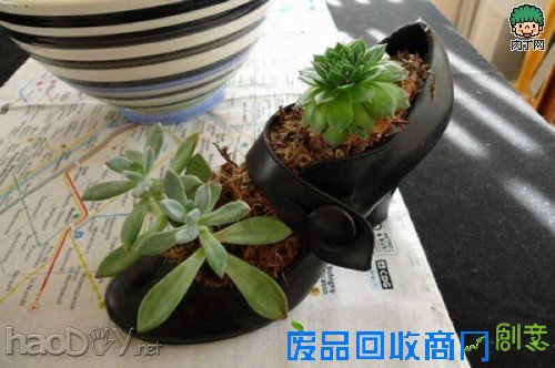 自制旧鞋怎么处理 旧鞋变花盆的35个DIY多姿多彩样例