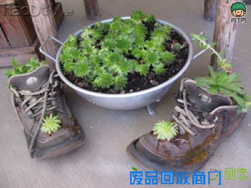 自制旧鞋怎么处理 旧鞋变花盆的35个DIY多姿多彩样例
