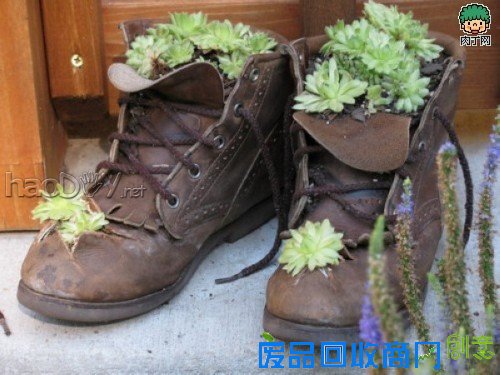 自制旧鞋怎么处理 旧鞋变花盆的35个DIY多姿多彩样例