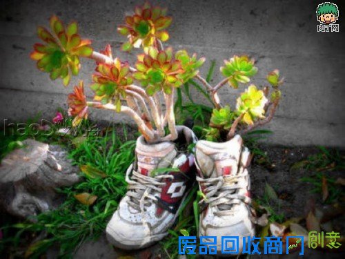 自制旧鞋怎么处理 旧鞋变花盆的35个DIY多姿多彩样例