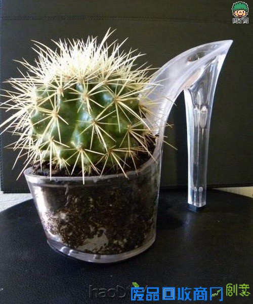 自制旧鞋怎么处理 旧鞋变花盆的35个DIY多姿多彩样例