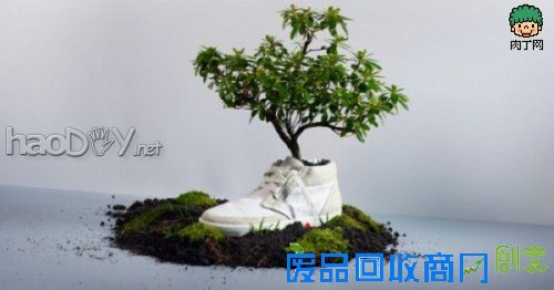 自制旧鞋怎么处理 旧鞋变花盆的35个DIY多姿多彩样例