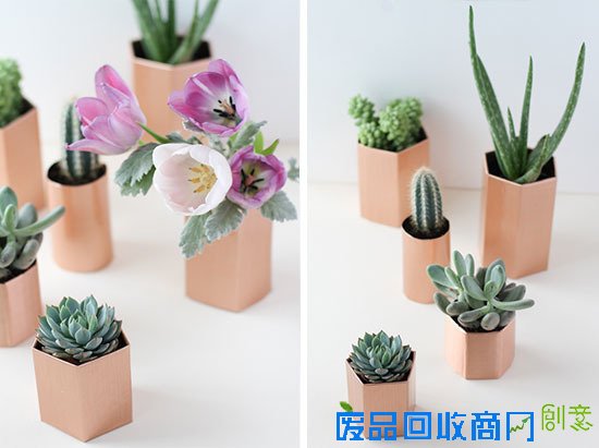 5分钟学会利用旧废纸板DIY金属面小盆栽