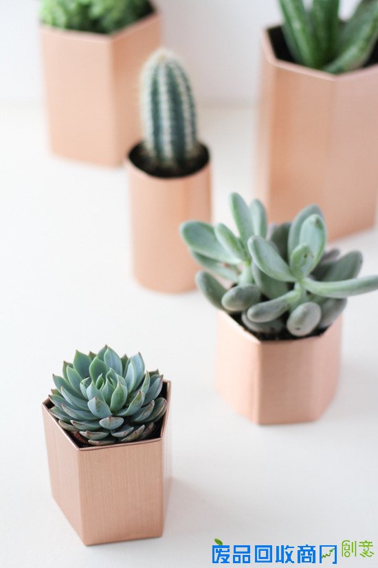 5分钟学会利用旧废纸板DIY金属面小盆栽