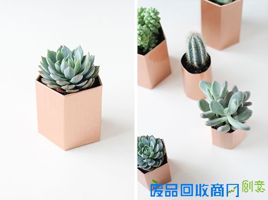 5分钟学会利用旧废纸板DIY金属面小盆栽