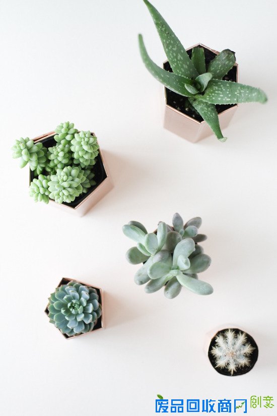 5分钟学会利用旧废纸板DIY金属面小盆栽