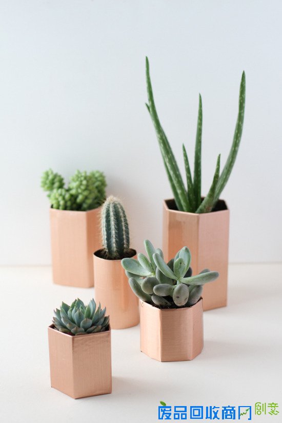 5分钟学会利用旧废纸板DIY金属面小盆栽