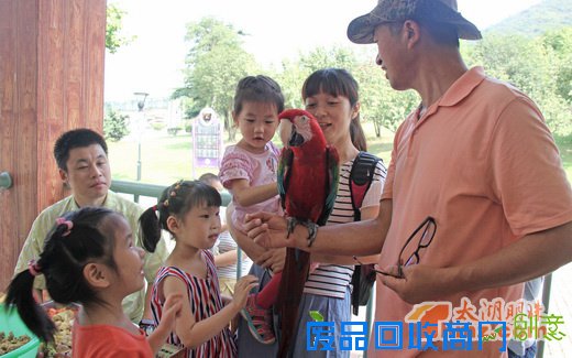 动物月饼DIY 为动物们送上独特的节日祝福