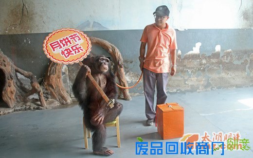 动物月饼DIY 为动物们送上独特的节日祝福