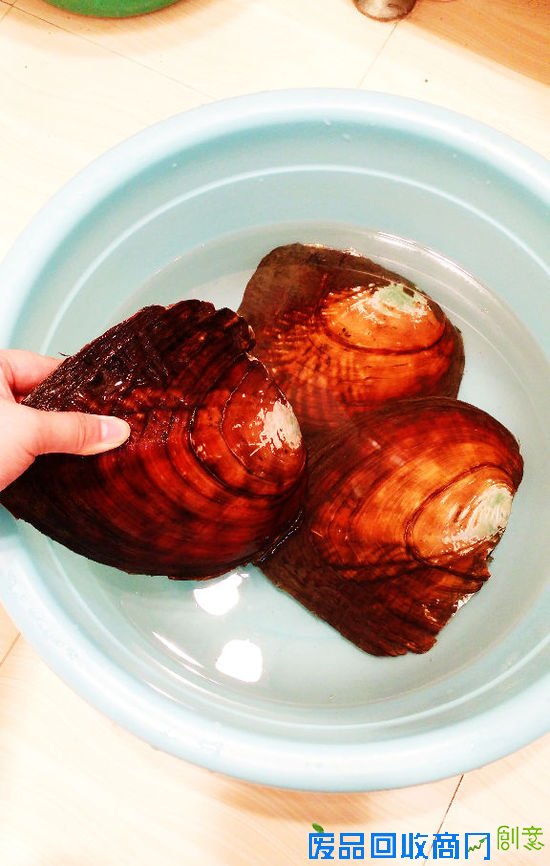 DIY：指甲油+铜丝，教你做花朵发簪