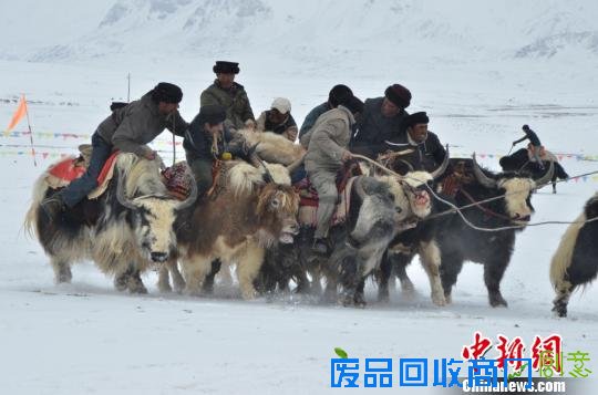 图为以牦牛刁羊迎接春天归来的塔吉克族人。　孙亭文 摄