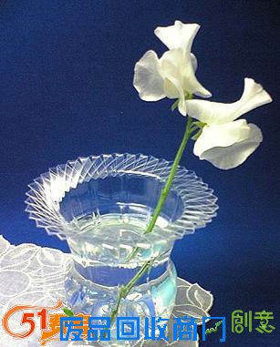 变废为宝:用回收塑料瓶DIY编制美丽花瓶