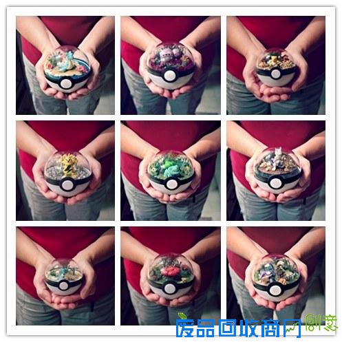 创意绝佳!美国艺术家发售《精灵宝可梦》玻璃盆栽受热捧