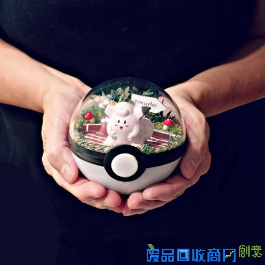 创意绝佳!美国艺术家发售《精灵宝可梦》玻璃盆栽受热捧
