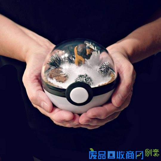 创意绝佳!美国艺术家发售《精灵宝可梦》玻璃盆栽受热捧