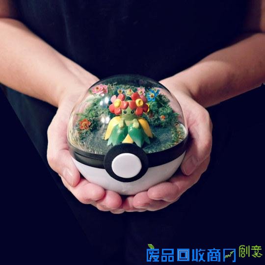 创意绝佳!美国艺术家发售《精灵宝可梦》玻璃盆栽受热捧